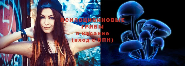 кокаин перу Богданович