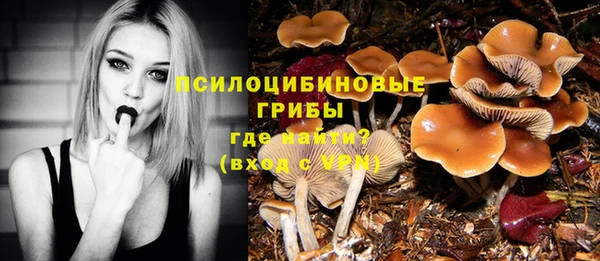 кокаин перу Богданович