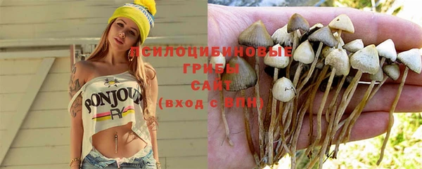 винт Богородск